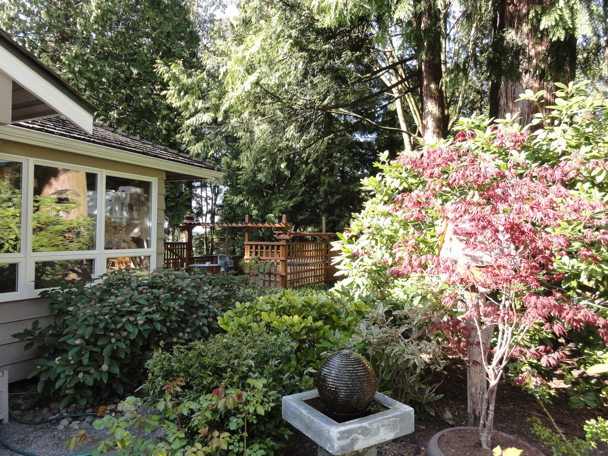 Crescent Drive backyard 2.JPG at 2540 Crescent Drive, Crescent Bch Ocean Pk., South Surrey White Rock